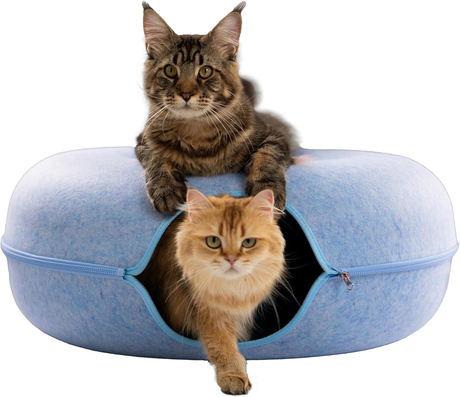 Cattasaurus Peekaboo Cat Cave for Multiple & Large Cats Up to 30-45 Lbs, Scratch Detachable & Washable Tunnel Bed, Comfy Donut Cat Cave (Blue, Jumbo) - Pet Explorer