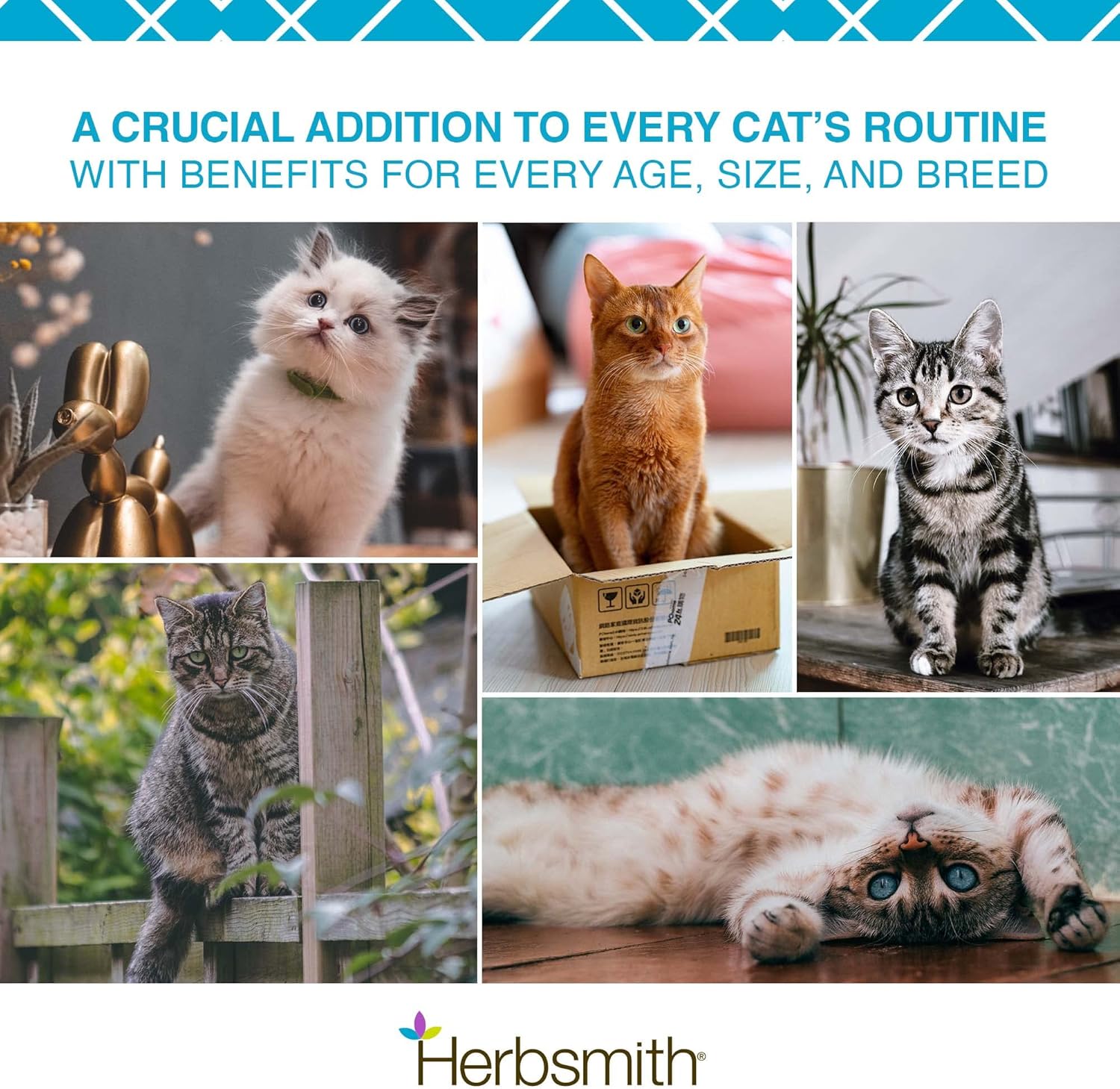 Herbsmith Cat Breath - Dental Support for Cats - 75g - Pet Explorer