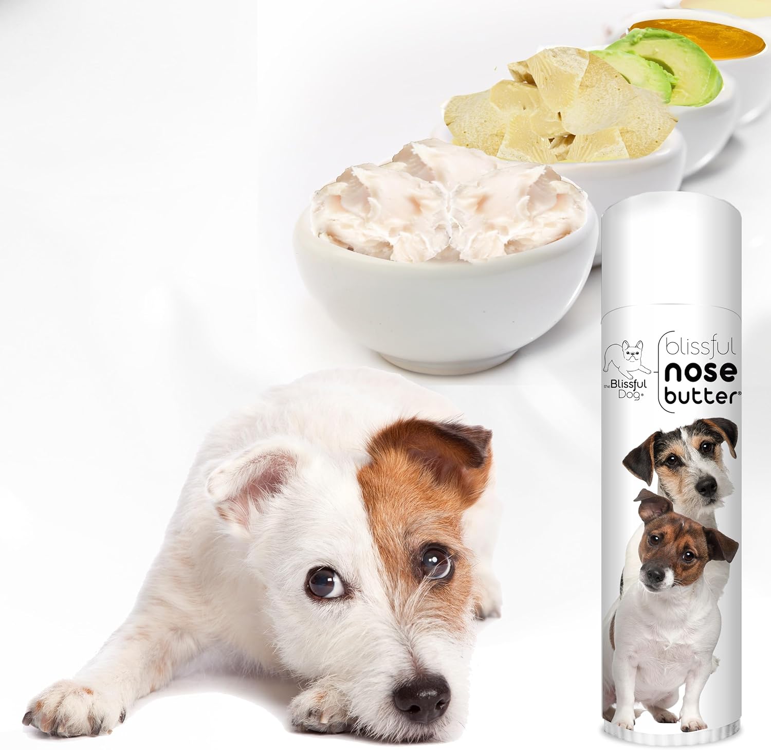 The Blissful Dog Jack Russell Terrier Nose Butter for Dry, Cracked Skin, Lick-Safe Dog Nose Balm with Moisturizing Shea Butter, Almond, Olive, and Essential Oils, Pet Supplies, Uncented, 0.50 oz. - Pet Explorer