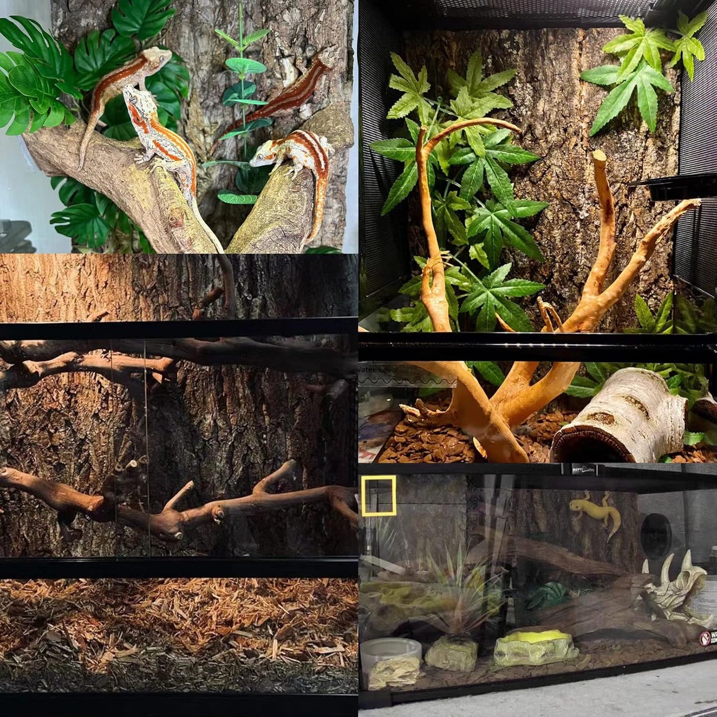 Tfwadmx 2Pcs Terrarium Cork Bark Background, 11.8"x11.8" Thickened Reptile Tank Tree Backdrop Wall Decor Habitat Climbing Mat Decoration for Lizard, Turtle, Gecko, Bearded Dragon, Frog, Chameleon - Pet Explorer