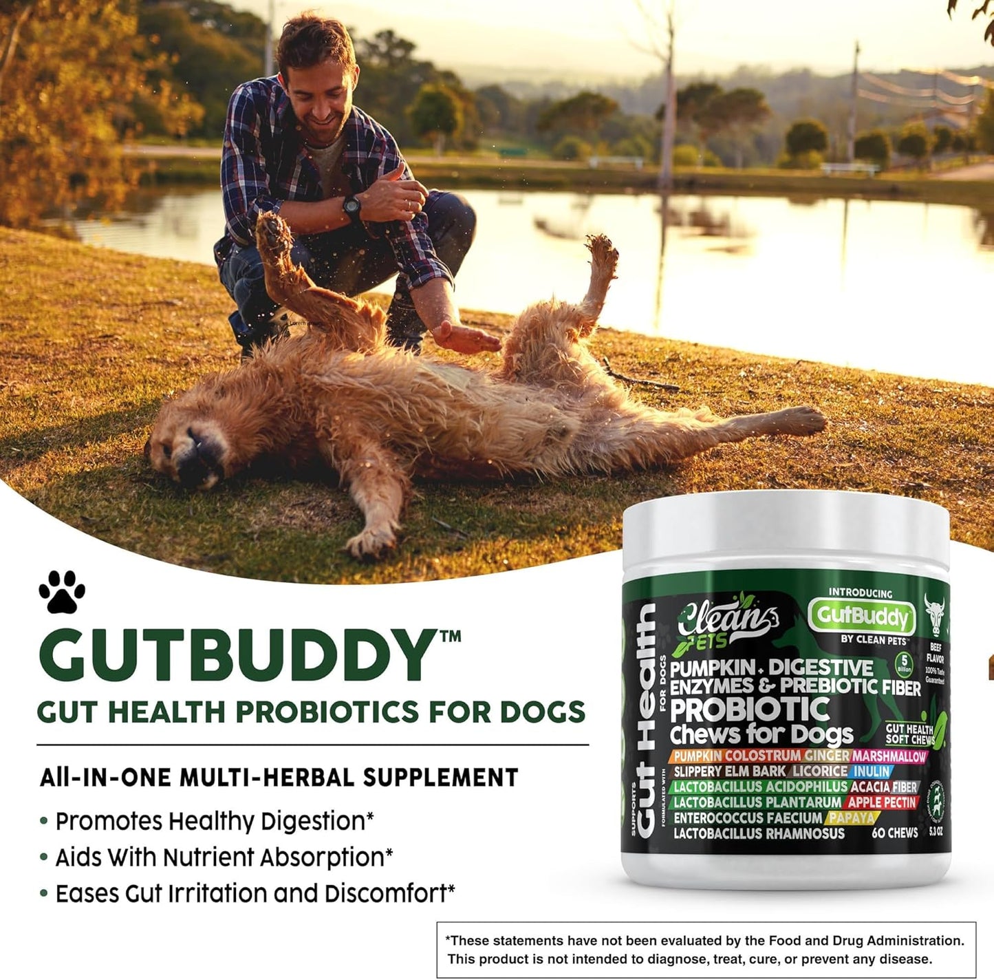 Probiotics for Dogs with Pumpkin, Colostrum, Digestive Enzymes, Ginger, Slippery Elm, Licorice, Inulin Fiber & More | Beef Flavor Soft Chews for Gut Health and Digestion Dog Supplement - Pet Explorer