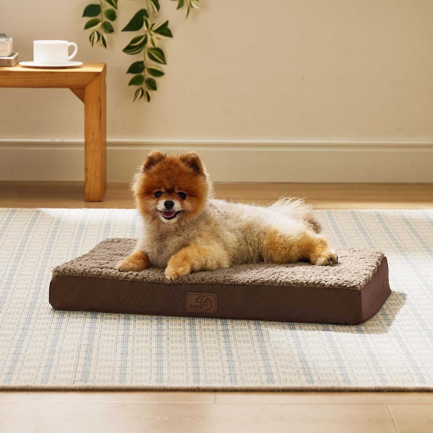 Bedsure Dog Bed for Small Dogs - Orthopedic Flat Puppy Beds with Removable Washable Cover, Egg Crate Foam Pet Mat, Suitable for Pet Up to 20 lbs - Pet Explorer