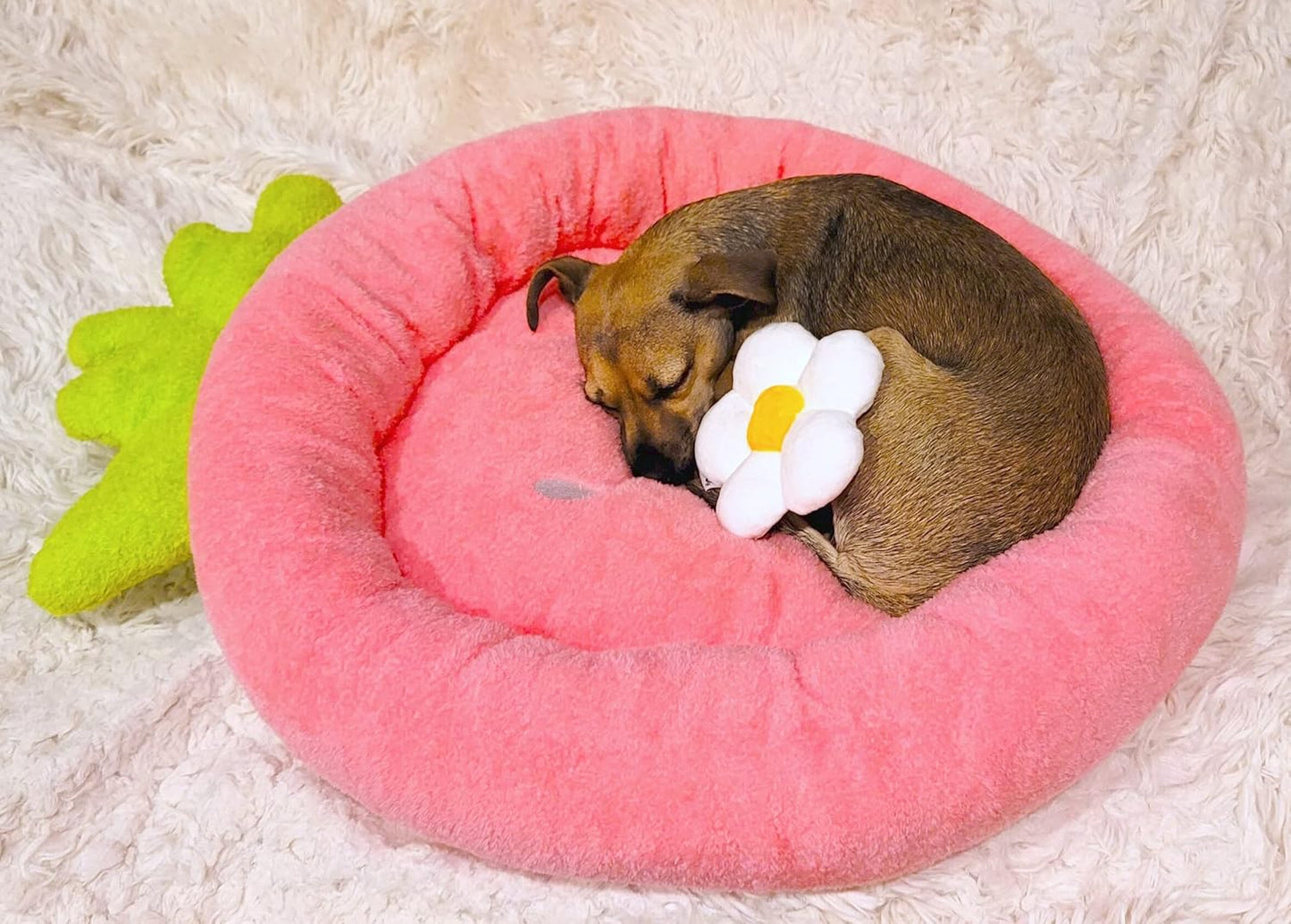 TONBO Soft Plush Small Cute and Cozy Food Dog Cat Bed, Washer and Dryer Friendly (Strawberry) - Pet Explorer