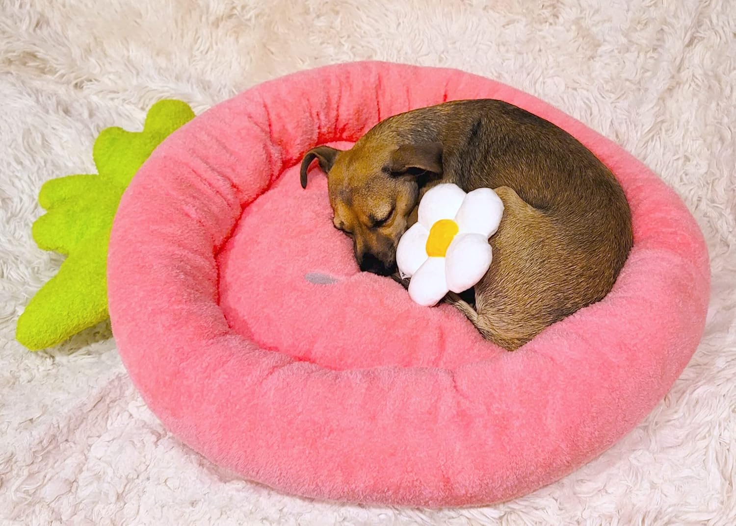 TONBO Soft Plush Small Cute and Cozy Food Dog Cat Bed, Washer and Dryer Friendly (Strawberry) - Pet Explorer
