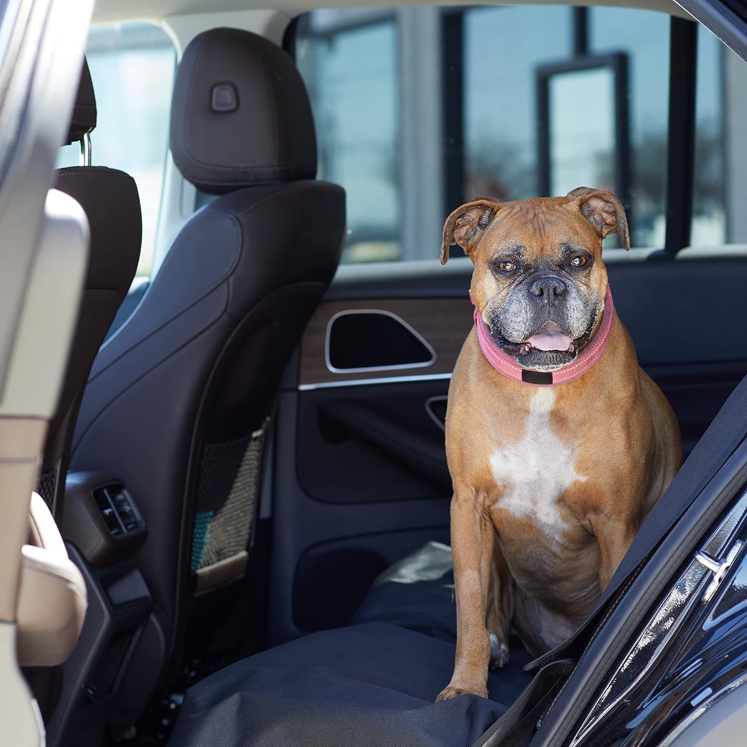 Amazon Basics Waterproof Car Back Bench Seat Cover Protector for Dog - 56 x 47 inch, Black - Pet Explorer