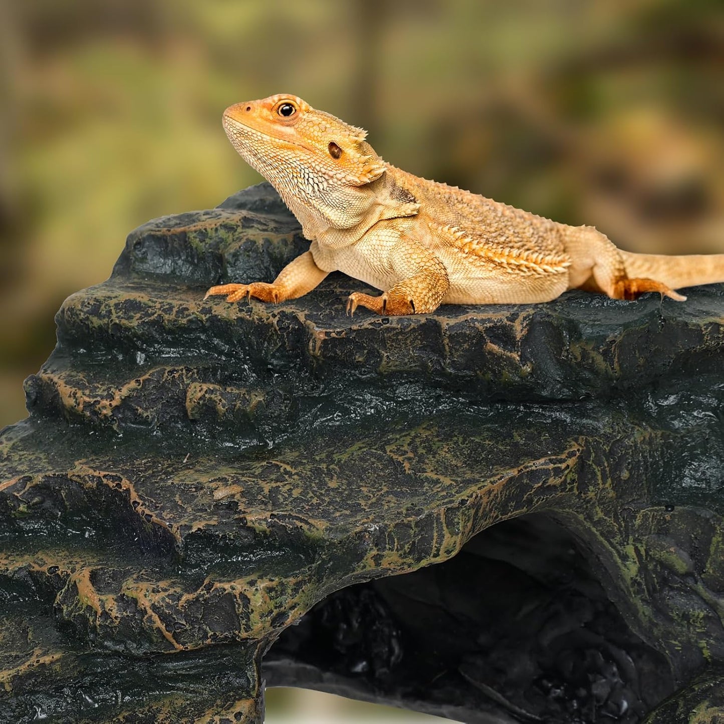 Gecko Tank Acccessories, Turtle Tank Accessories, Perfect Tortoise Hide Fish Tank Decor for Betta, Fish, Snake Hide, Professional Turtle Basking Platform (Medium) - Pet Explorer