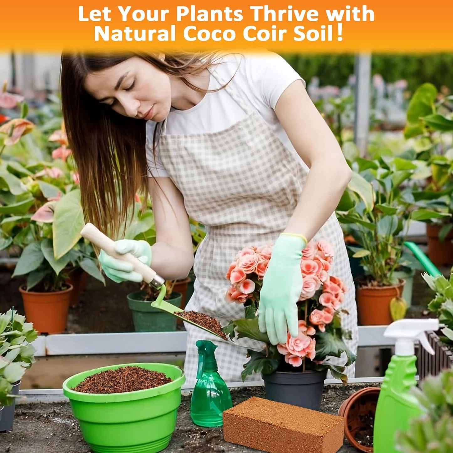Legigo 4 Pack Premium Coco Coir Brick for Plants- 100% Organic Compressed Coconut Coir Bricks Starting Mix, Coco Coir Fiber Coconut Husk for Planting, Gardening, Potting Soil Substrate, Herbs - Pet Explorer