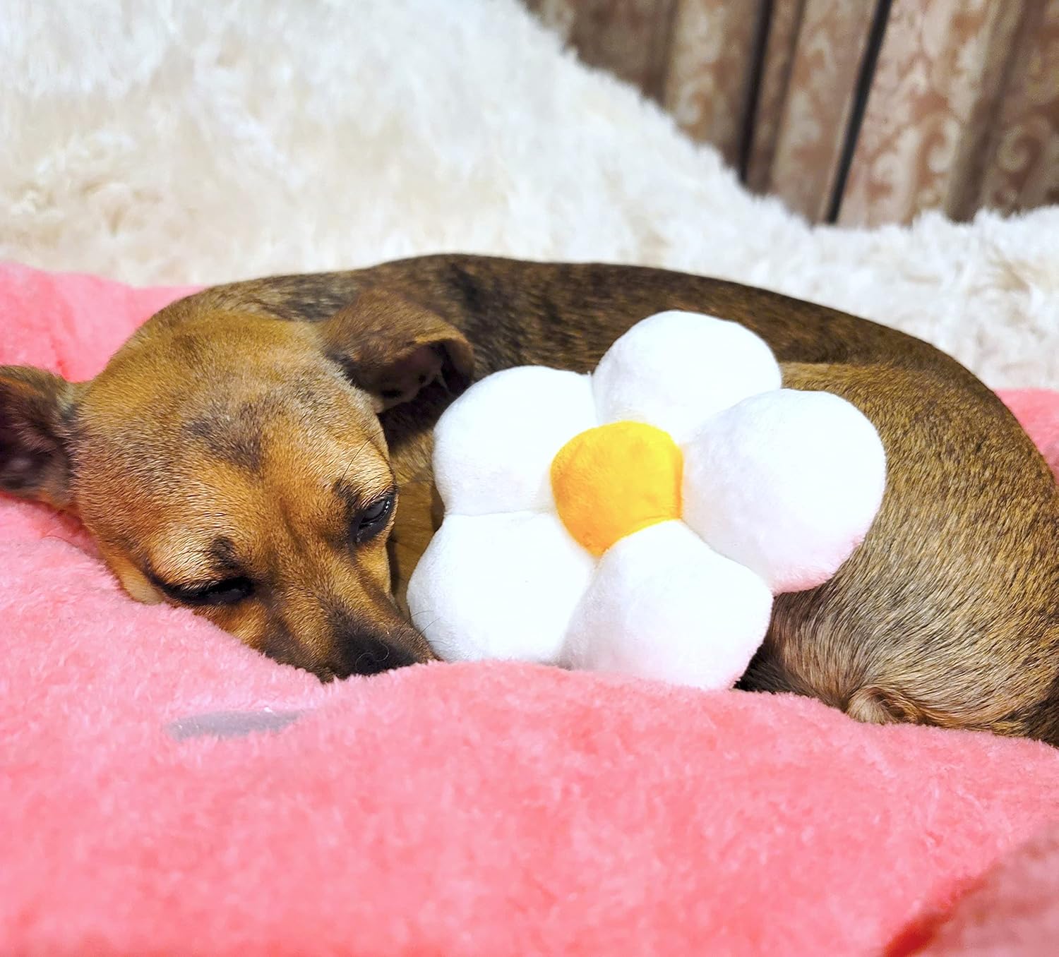 TONBO Soft Plush Small Cute and Cozy Food Dog Cat Bed, Washer and Dryer Friendly (Strawberry) - Pet Explorer