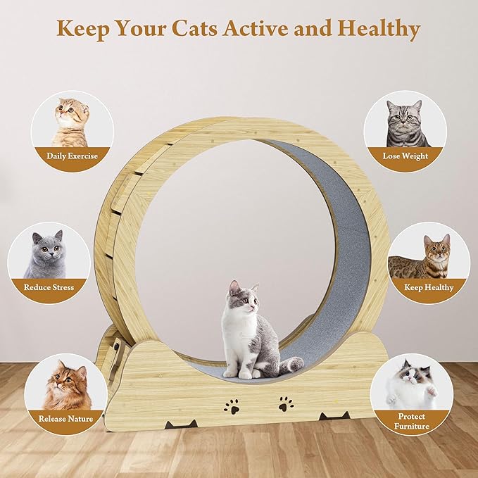 Cat Exercise Wheel, Quiet 34" Cat Treadmill for Indoor Cats, Running Wheel with Carpeted Runway & Safety Lock, Compact Design for Small & Adult Cats Weight Loss & Daily Exercise