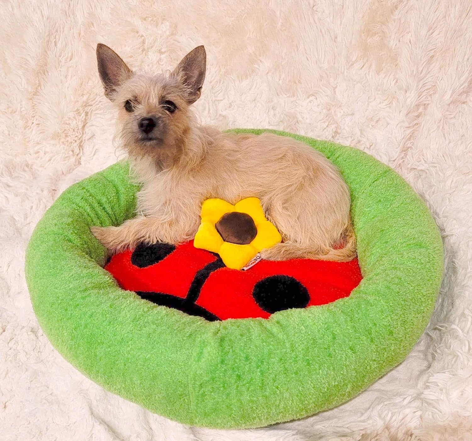 TONBO Soft Plush Small Cute and Cozy Nature Dog Cat Bed, Washer and Dryer Friendly (Ladybug) - Pet Explorer