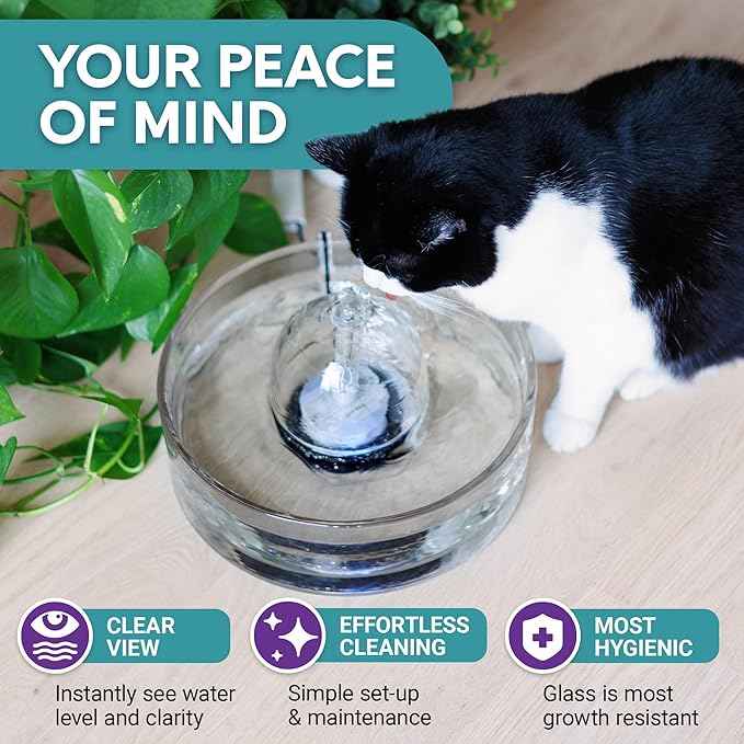 Brook Glass Pet Fountain (90oz/2.7L) – Cat & Dog Water Fountain – Glass Cat Fountain & Automatic Water Dispenser for Drinking