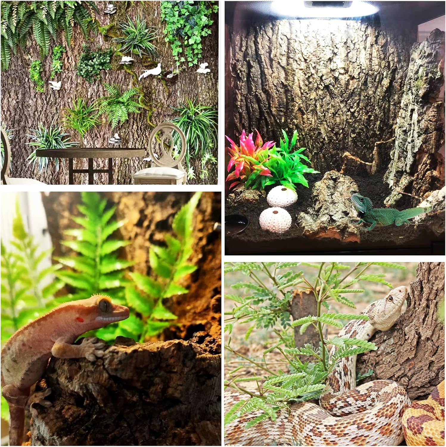 4PCS Cork Terrarium Background 15.7x11.8in Reptile Tank Background Board Habitat Decoration, Natural Cork Large Bark Climbing Mat for Gecko Lizard Tortoise Chameleon - Pet Explorer
