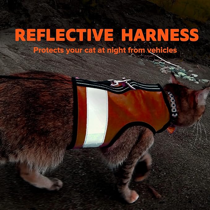 Kitty Holster Reflective Cat Harness – High-Visibility Cat Harness for Travel, Day and Night Walking - Soft Cotton Cat Accessories, Breathable, Secure & Washable, Made in USA - Outrageous Orange, XS