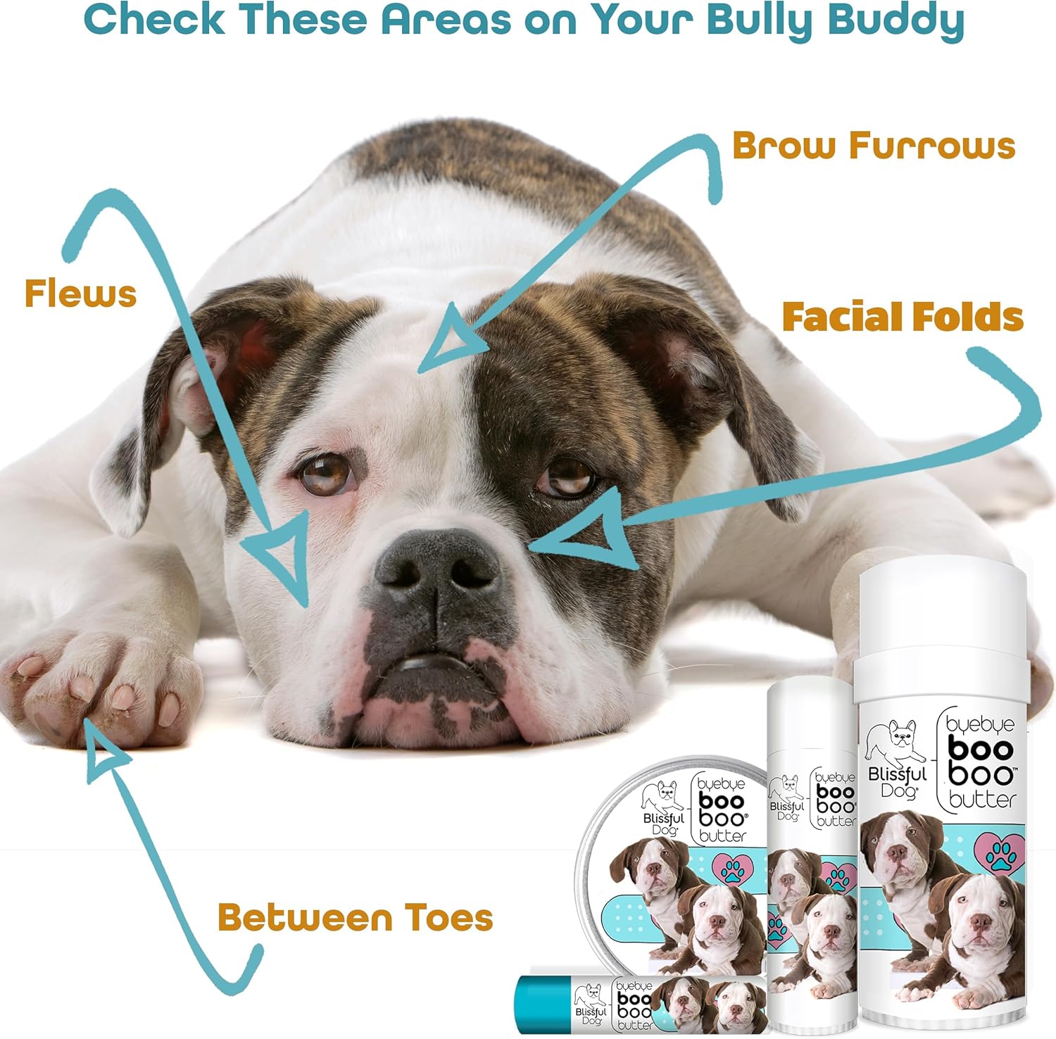 The Blissful Dog American Bulldog Boo Boo Butter, 16oz - Pet Explorer