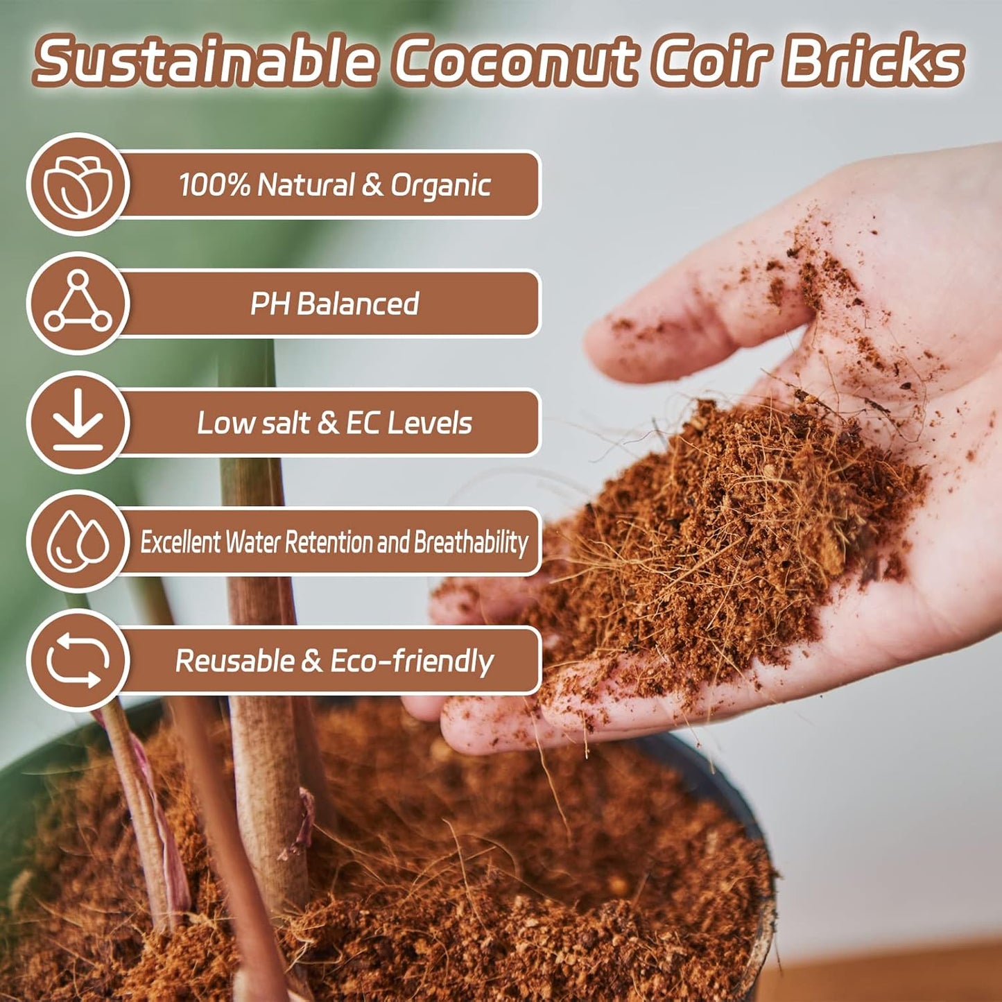 Riare 8pcs Organic Coco Coir Bricks Soil Blocks- 100% Natural Compressed Coco Peat Brick Coconut Fiber Substrate with Low EC& pH Balance, High Expansion Coco Coir Pith Coconut Husk for Garden - Pet Explorer