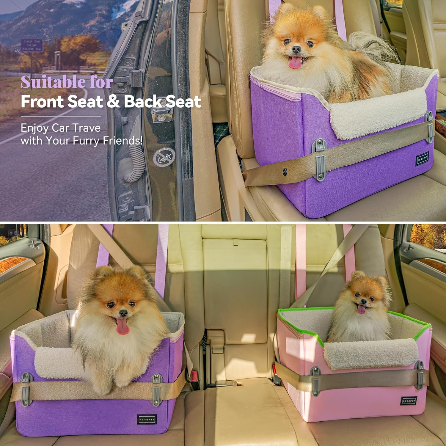 PETSFIT Small Dog Car Seat, Patent Safe Buckles Dog Booster Car Seat, Dogs Carseat with Safety Belt, Suitable for Small Pets Up to 25lbs (Purple) - Pet Explorer