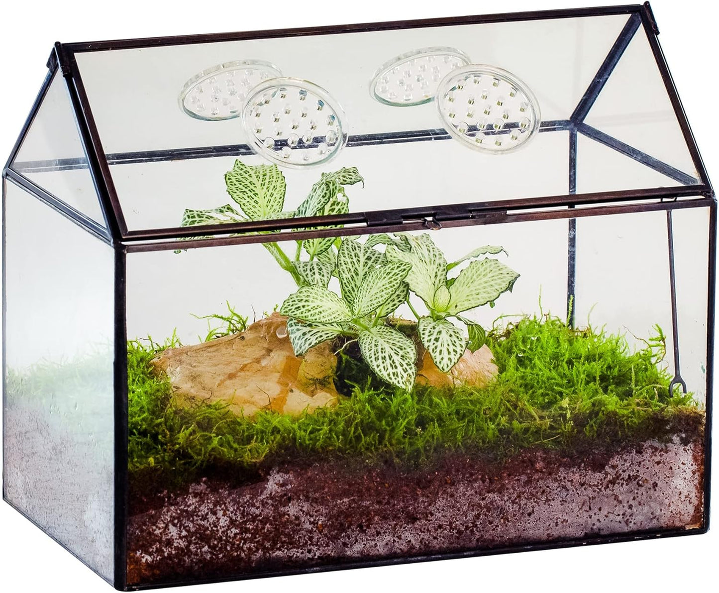 NCYP Glass Terrarium with Lid and Air Holes for Snails, Succulents Plants, Small Cactus - 10.2" x 5.9" x 8.2" House Shape Geometric Clear Box, Indoor Tabletop Decor Black (Terrarium Only) - Pet Explorer