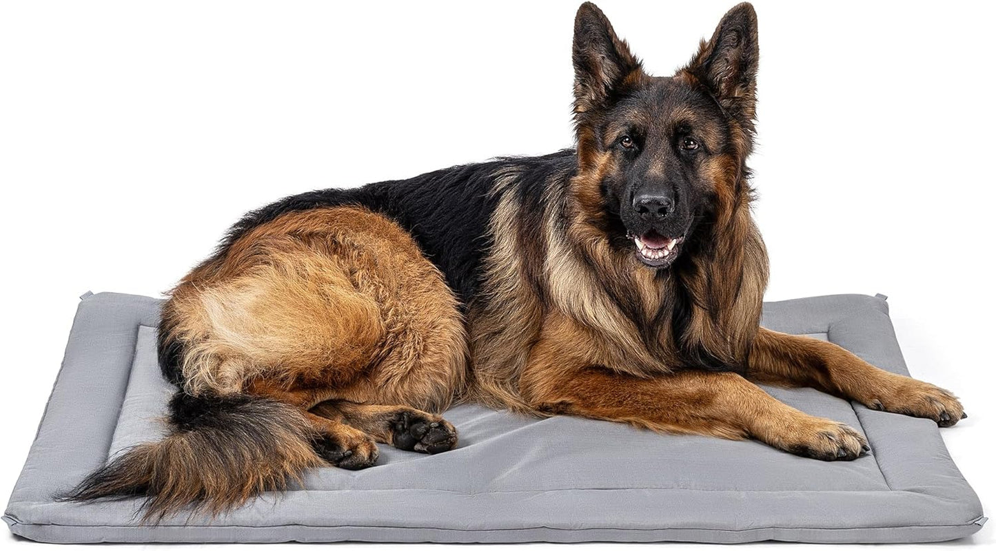 Cybarmour Chew Proof Dog Crate Pad - Outdoor Indestructible Dog Bed - Tough - Potable - Machine Washable - Water & Dirt-Resistant - Extra Large Breeds & Fits 48-Inch Crate - 47"x29", Limestone - Pet Explorer