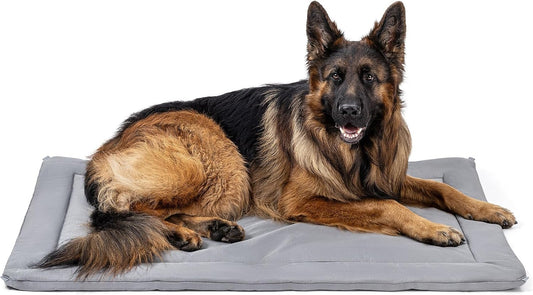 Cybarmour Chew Proof Dog Crate Pad - Outdoor Indestructible Dog Bed - Tough - Potable - Machine Washable - Water & Dirt-Resistant - Extra Large Breeds & Fits 48-Inch Crate - 47"x29", Limestone - Pet Explorer