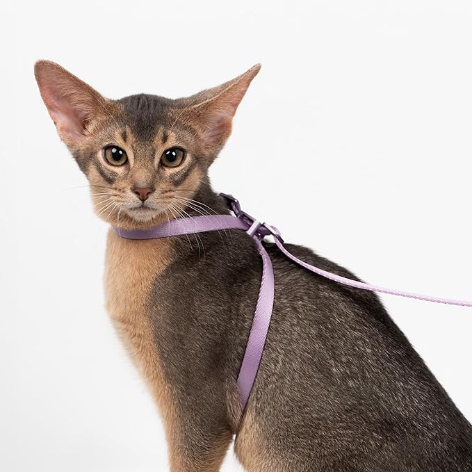 Cat Harness Escape-Proof Anti-Choking Adjustable Nylon Harness Lightweight with Anodized Aluminum Buckle, Ideal for Cats Outdoor Walking and Training, IDA Award (Sierra Blue, S (13.8"))