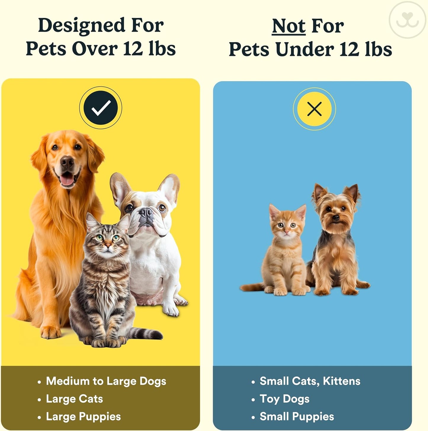 Jasper Dog Toothbrush, 360 Dog Tooth Brushing Kit, Finger Toothbrush, Cat Tooth Brush, Teeth Cleaning, Pet Tooth Brush for Small & Large Pets, Pet Toothpaste Not Included, 2-Pack Blue - Pet Explorer