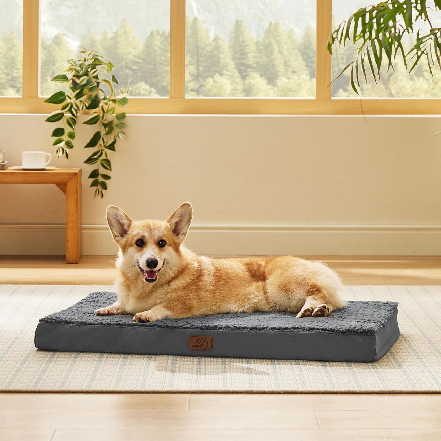 Bedsure Large Dog Bed for Crate - Orthopedic Flat Pet Beds with Removable Washable Cover, Egg Crate Foam Crate Mat, Suitable for Pet Up to 50 lbs - Pet Explorer
