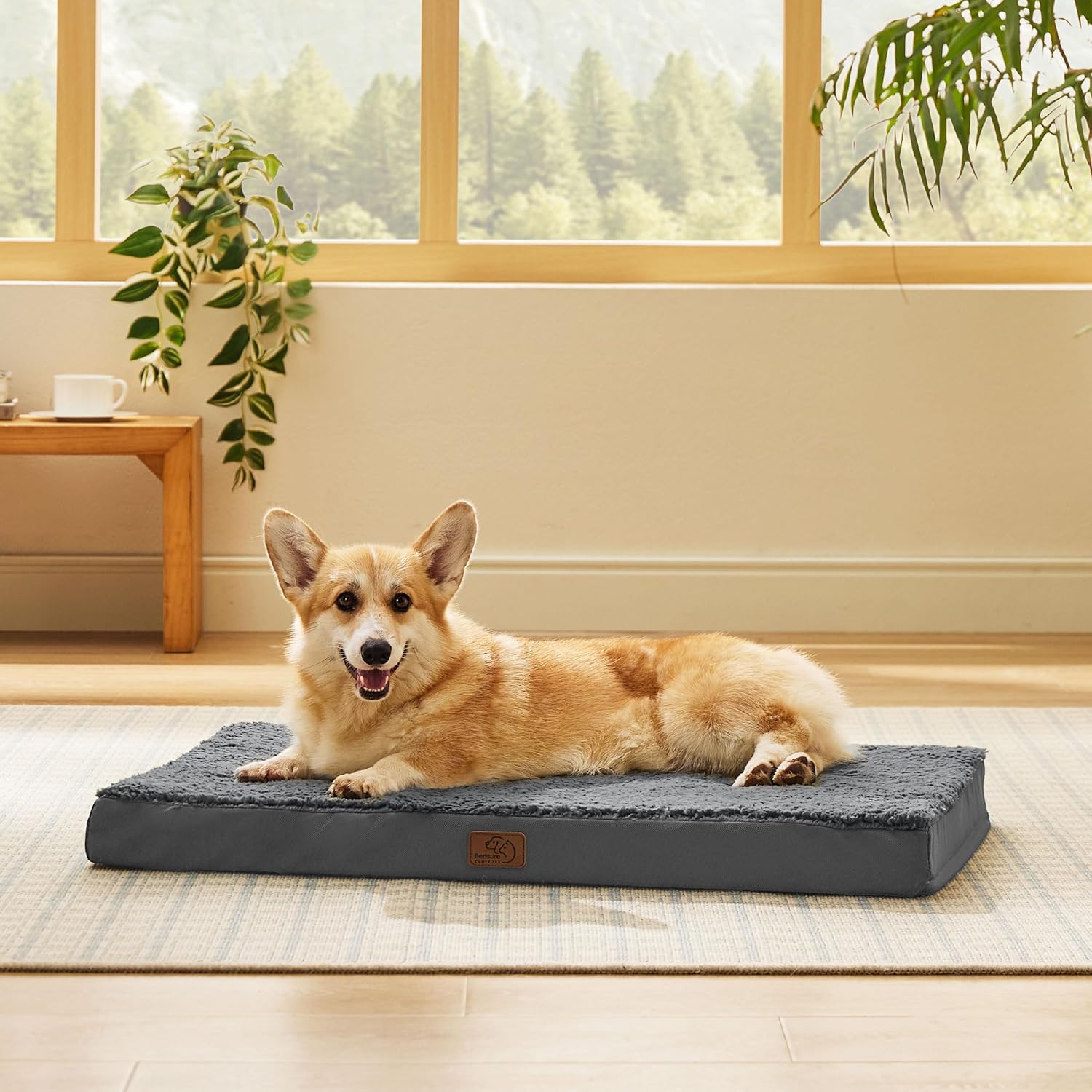 Bedsure Large Dog Bed for Crate - Orthopedic Flat Pet Beds with Removable Washable Cover, Egg Crate Foam Crate Mat, Suitable for Pet Up to 50 lbs - Pet Explorer
