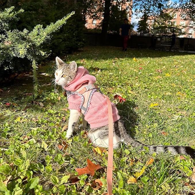 Dog Harness and Leash Set, No Pull Adjustable Reflective Pet Harness for Small Medium Dogs, Step in Vest Harness Easy Walk Dog Harness Outdoor Hiking Training for Small Dogs, Cats(Pink, XS)