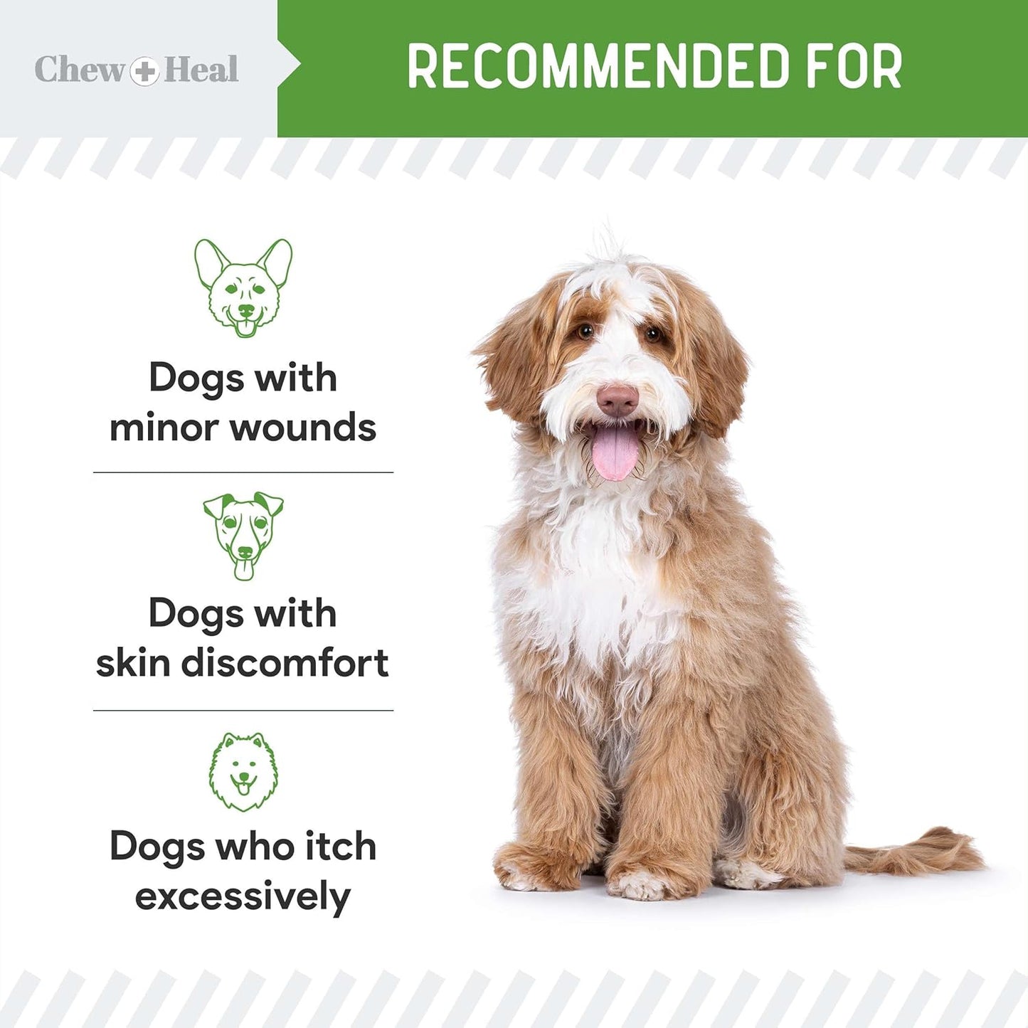 Hypochlorous Acid Spray for Dogs – 4oz Dog Wound Spray for Cuts, Burns, Sores, Abrasions, and More – Non Toxic and Chemical Free HOCI Wound Care – Made in The USA - Pet Explorer