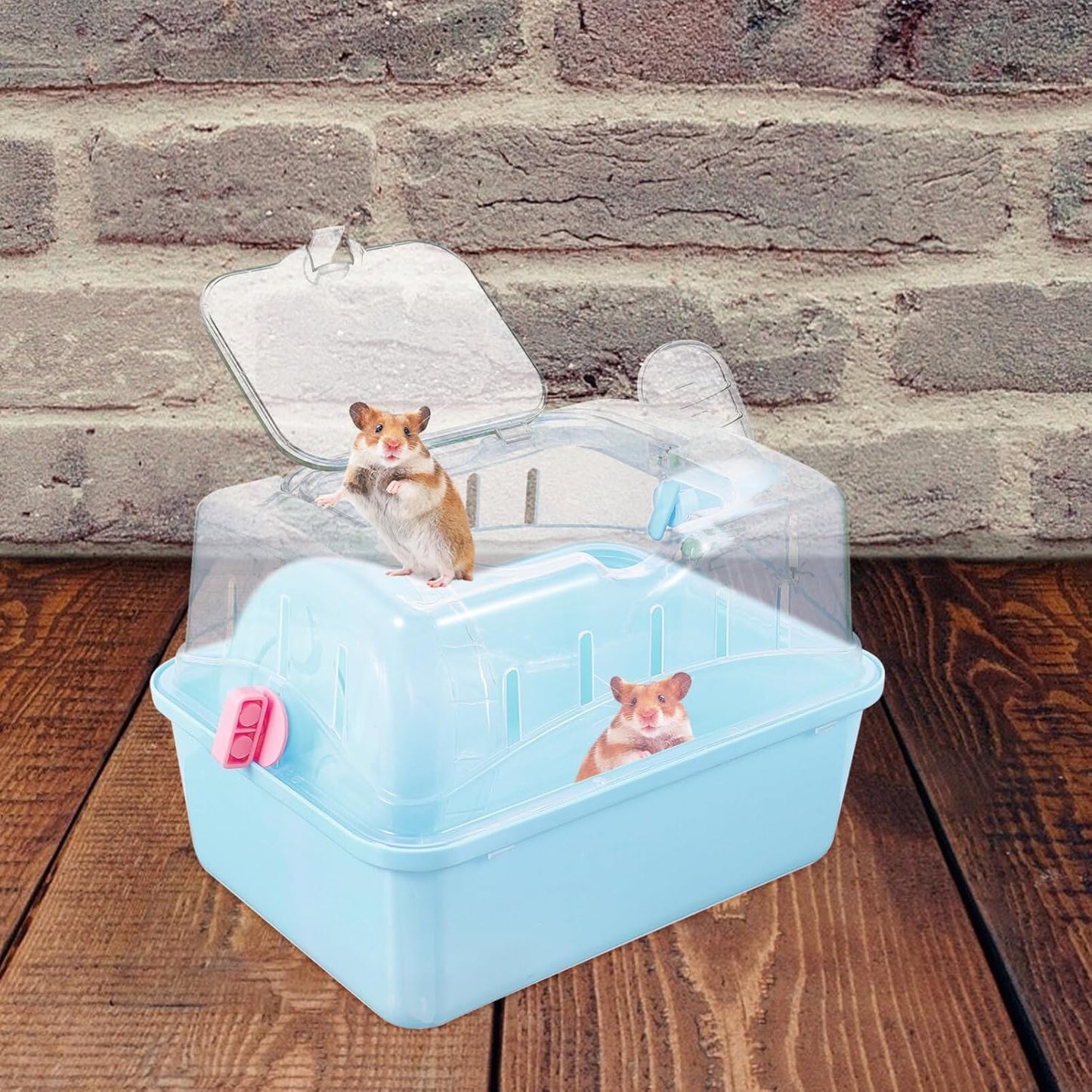 Hamster Cage - Small Pet Carrying Container, Clear Stand, Outdoor Travel House, Fully Transparent Plastic, 11.00X6.7in - Pet Explorer