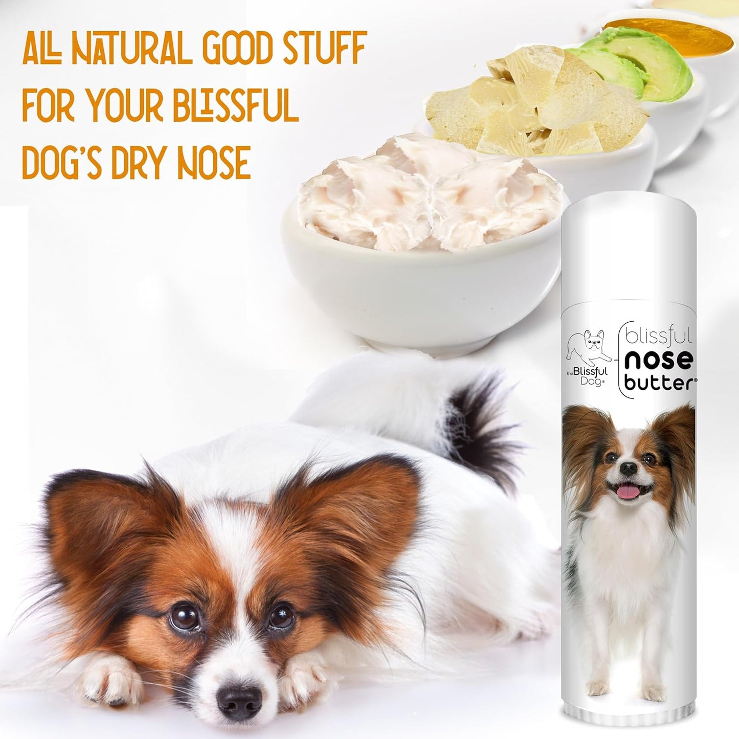 The Blissful Dog Papillon Nose Butter for Dry, Cracked Skin, Lick-Safe Dog Nose Balm with Moisturizing Shea Butter, Almond, Olive, and Essential Oils, Pet Supplies, Uncented, 0.50 oz. - Pet Explorer