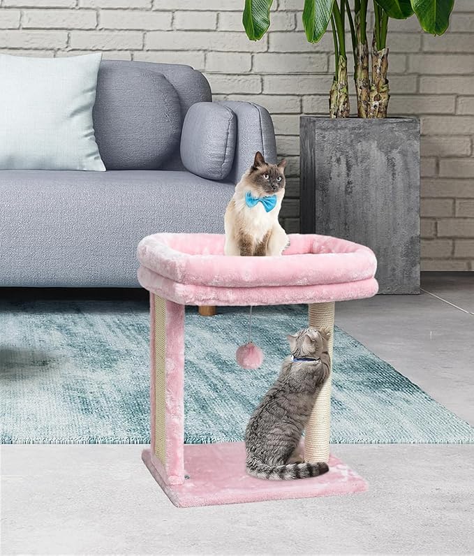 SYANDLVY Small Cat Tree for Indoor Cats, Scratching Board with Perch & Scratching Post, Kittens Scratcher with 2 Dangling Balls, Pink