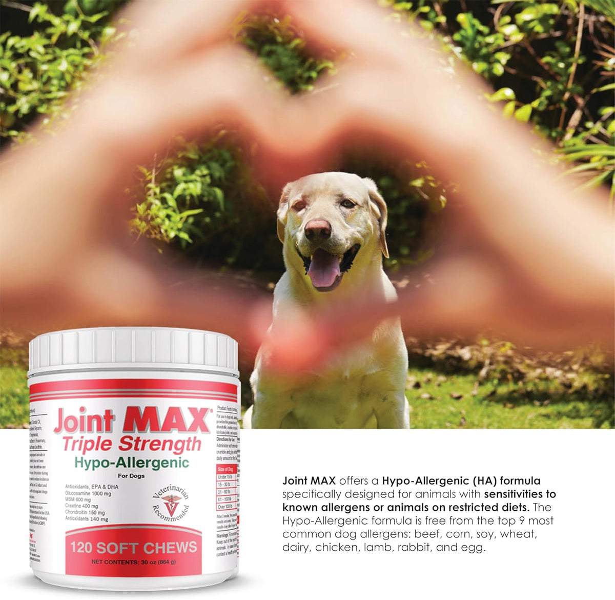 Triple Strength Hypo-Allergenic Soft Chews for Dogs - Hip and Joint Support Supplement with Glucosamine, Chondroitin, & MSM - Made in The USA - 120 Soft Chews - Pet Explorer