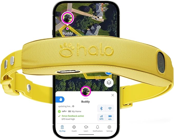 Halo Collar 5 Wireless Dog Fence & GPS Dog Collar, Keep Your Dog Safely Contained Outdoors with App-Controlled Boundaries and Real-Time Tracking, One Size, Sunburst
