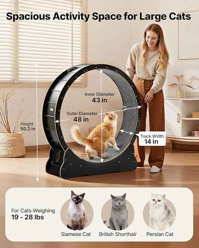 VEVOR Cat Exercise Wheel, 48 in Wooden Cat Running Wheel for Indoor Cats up to 28 lbs, Cats Treadmill with Carpeted Runway & Locking Mechanism, Quiet Kitten Sport Toys for Pets Fitness & Health, Black