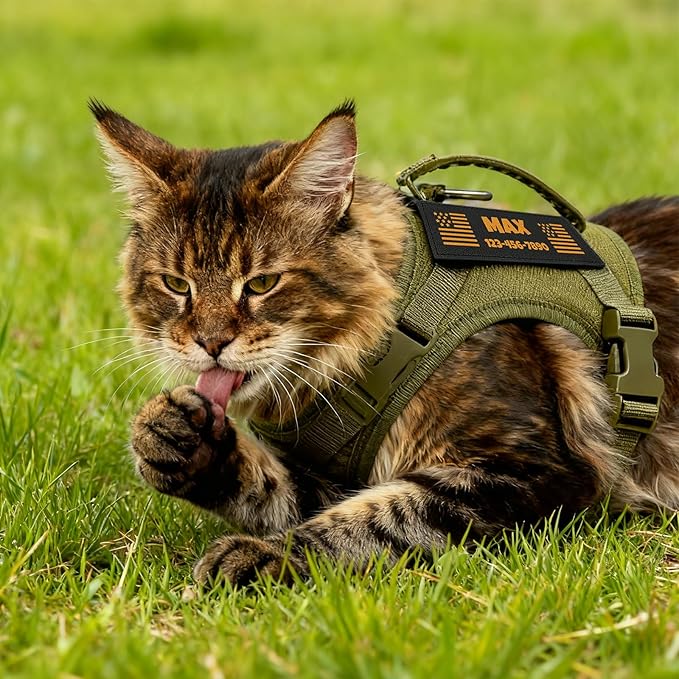 Cat Harness and Leash Escape Proof Tactical Cat Harness with Custom Patches Adjustable Soft Vest for Walking & Training Comfortable Outdoor Gear Fits Small Medium Large Cats (8-20 lbs)