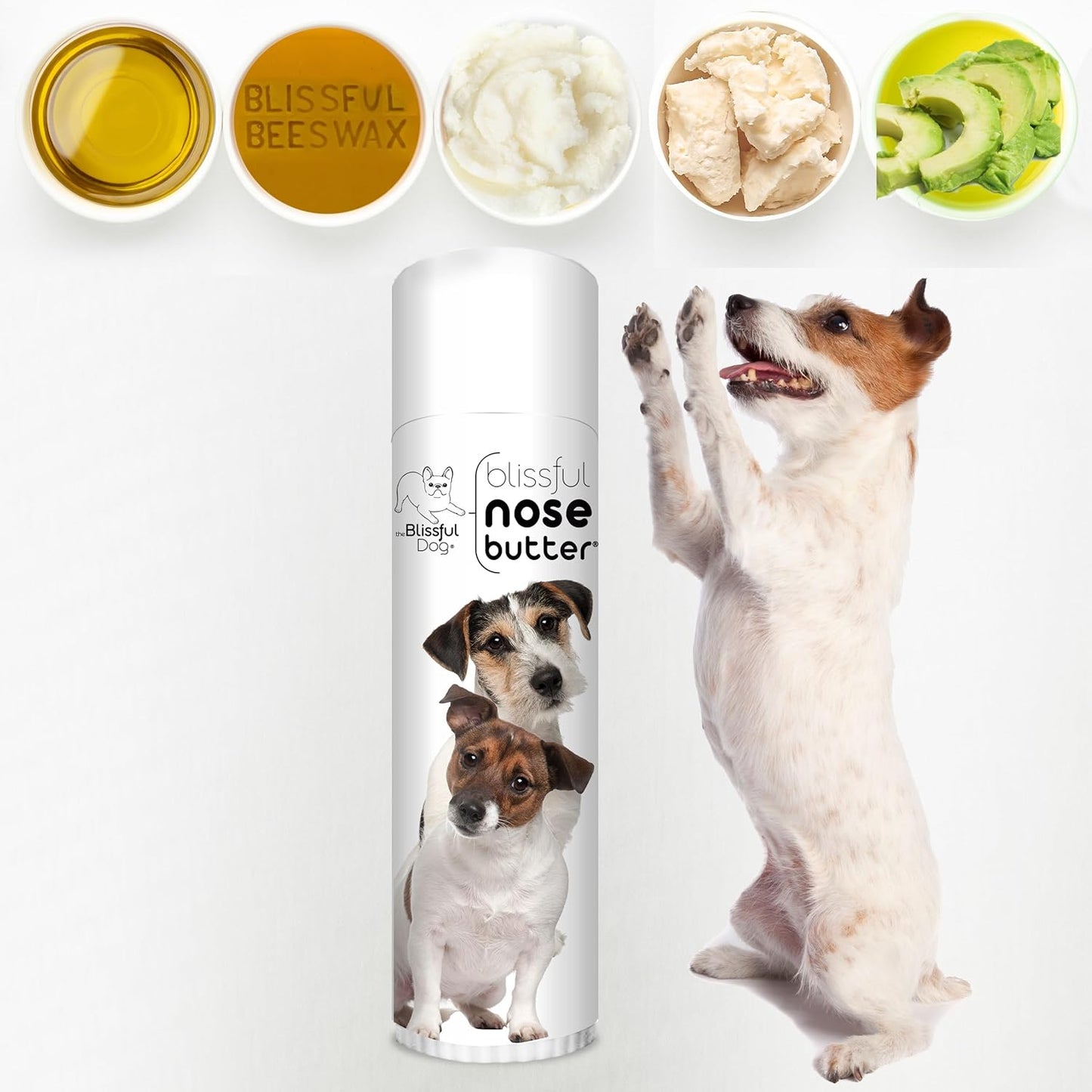 The Blissful Dog Jack Russell Terrier Nose Butter for Dry, Cracked Skin, Lick-Safe Dog Nose Balm with Moisturizing Shea Butter, Almond, Olive, and Essential Oils, Pet Supplies, Uncented, 0.50 oz. - Pet Explorer