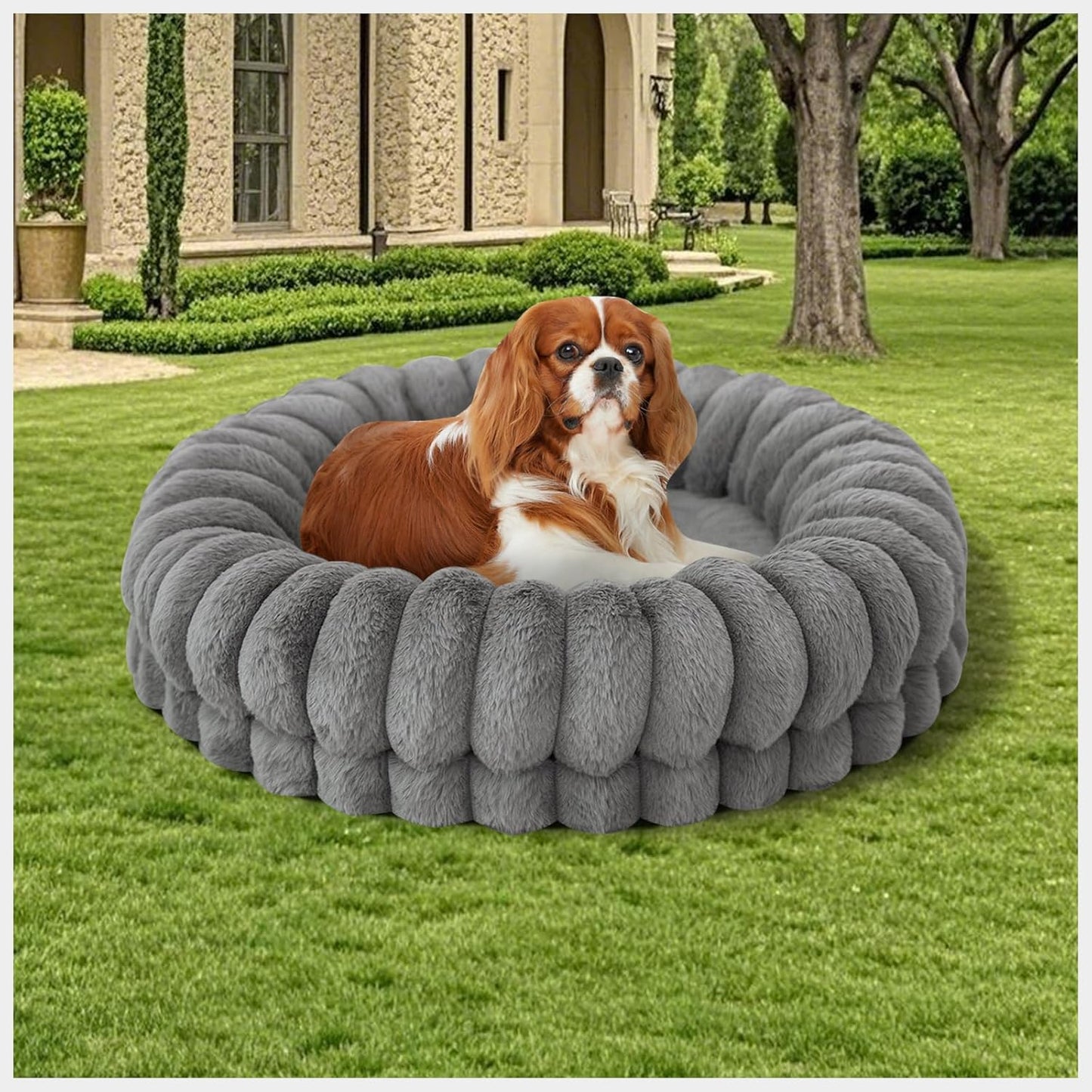 BALANCE Luxury Donut Dog Bed, 23 Inches Round Dog Beds for Small Dogs Washable, Orthopedic Calming Pet Bed for Puppy and Cats with Anti-Slip Bottom, Gray - Pet Explorer