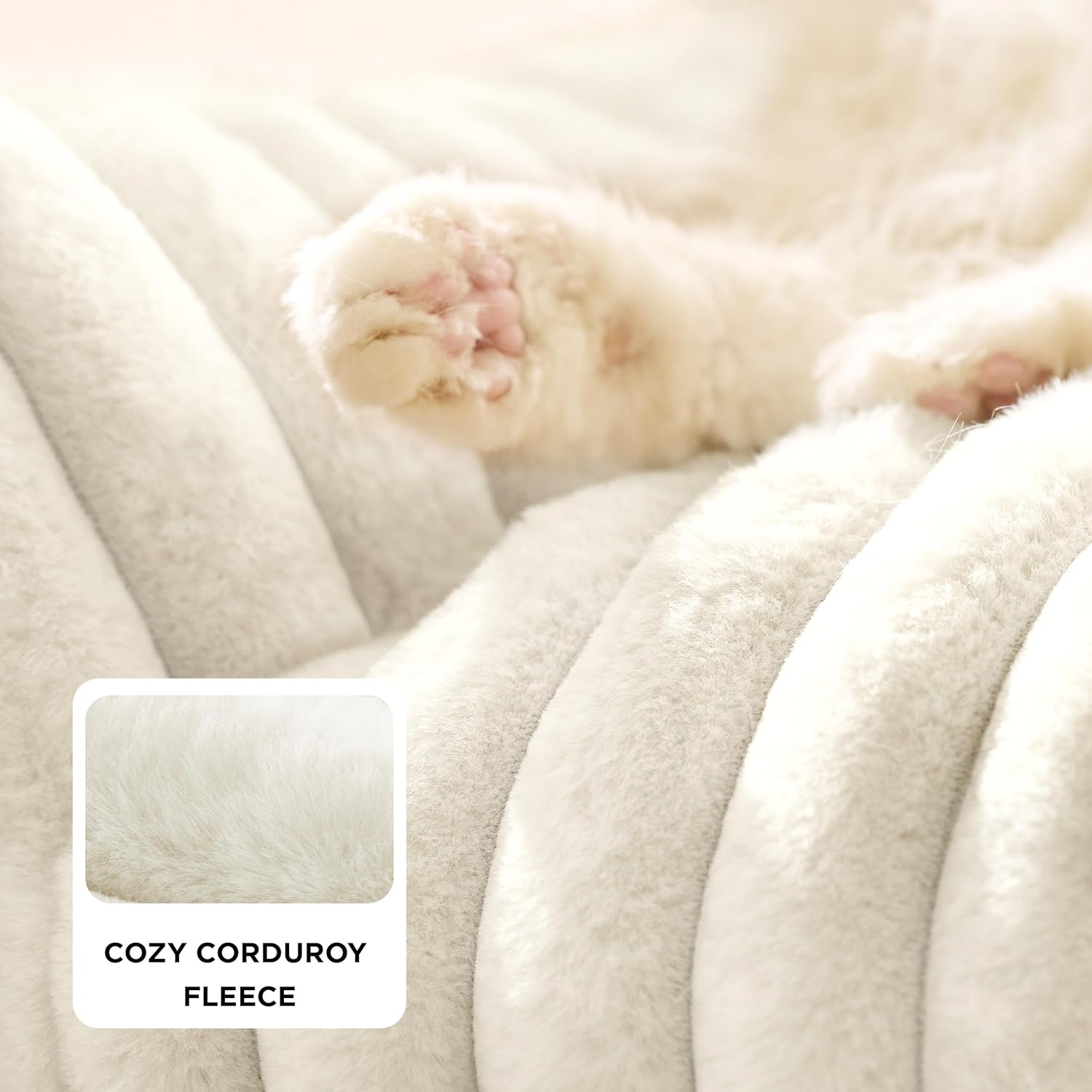 Bedsure Cute Cat Couch for Pets - Fluffy Cat beds with Premium Soft Corduroy Fleece, Fuzzy Cats beds for Indoor Cats with Removable Washable Cover, Supportive Pet Sofa, 24inch, Cream - Pet Explorer