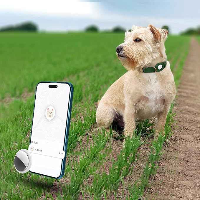 AirTag Dog Collar - Genuine Leather Dog Collar with Apple AirTag Holder and Metal Buckle - Smart GPS Tracking Pet Collars (Dark Green, XS, 9"-12" Neck Fit)