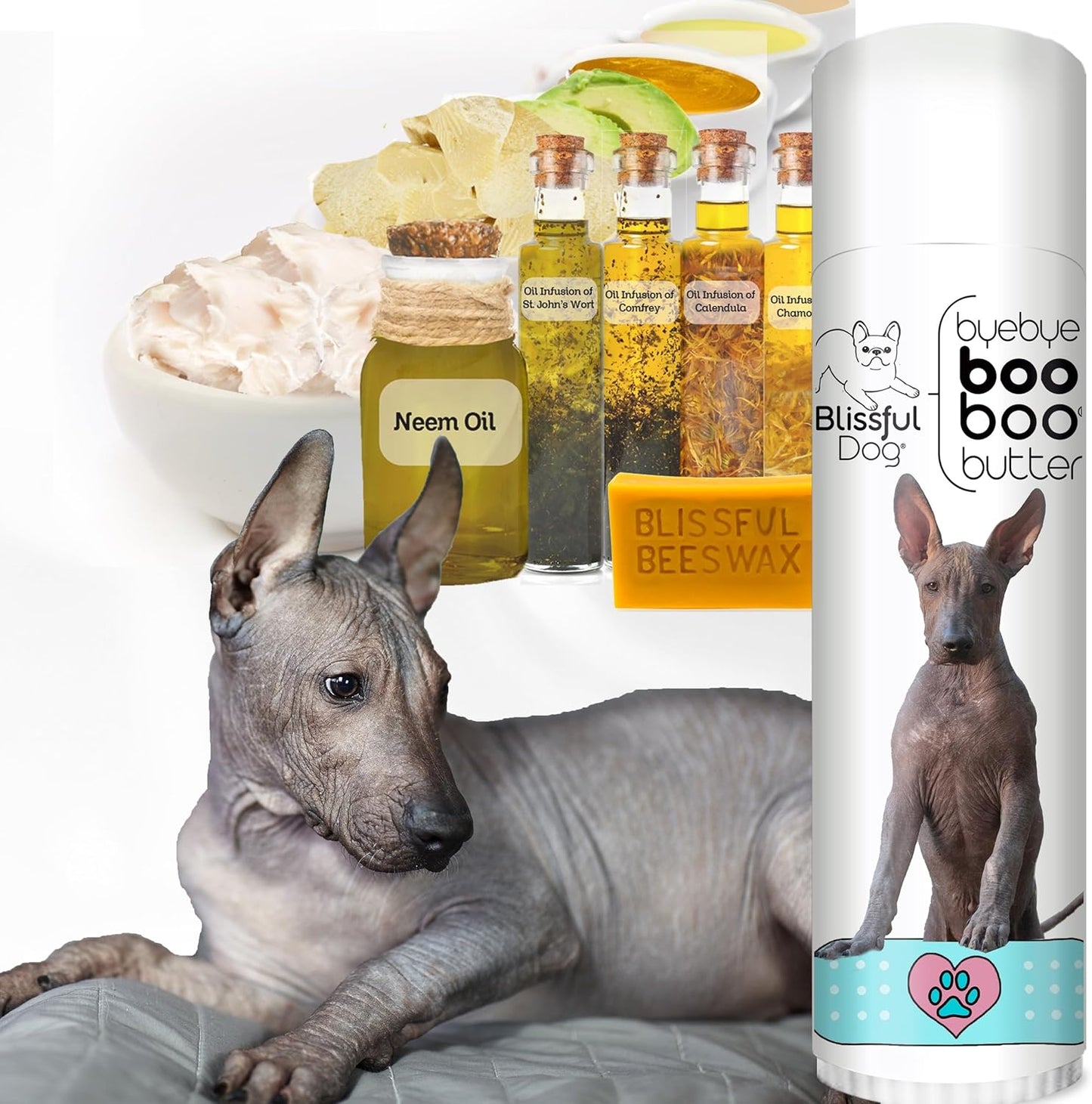 The Blissful Dog Xoloitzcuintli Boo Butter, 0.50 oz - Pet Explorer