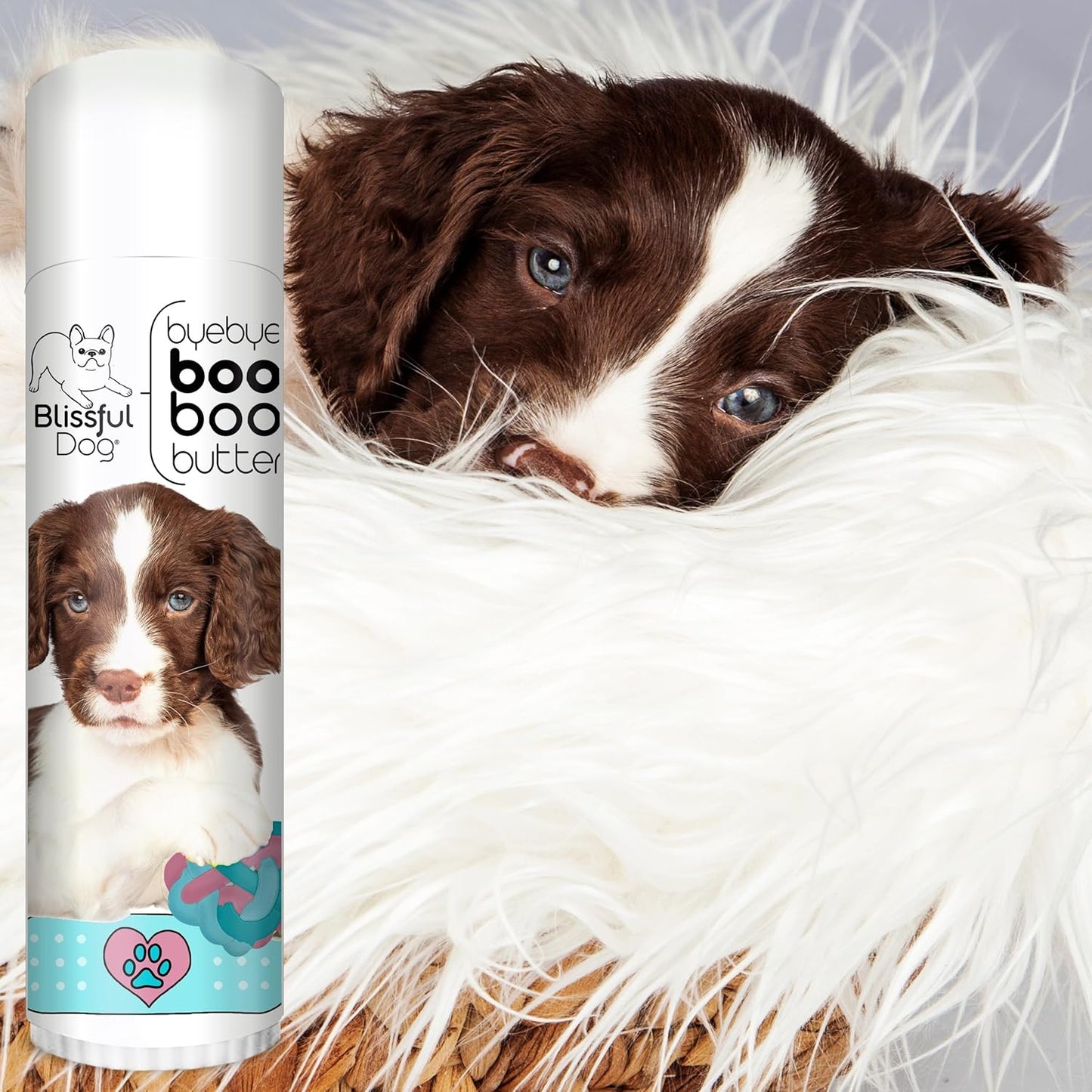 The Blissful Dog Springer Spaniel Boo Butter, 0.50 oz - Pet Explorer