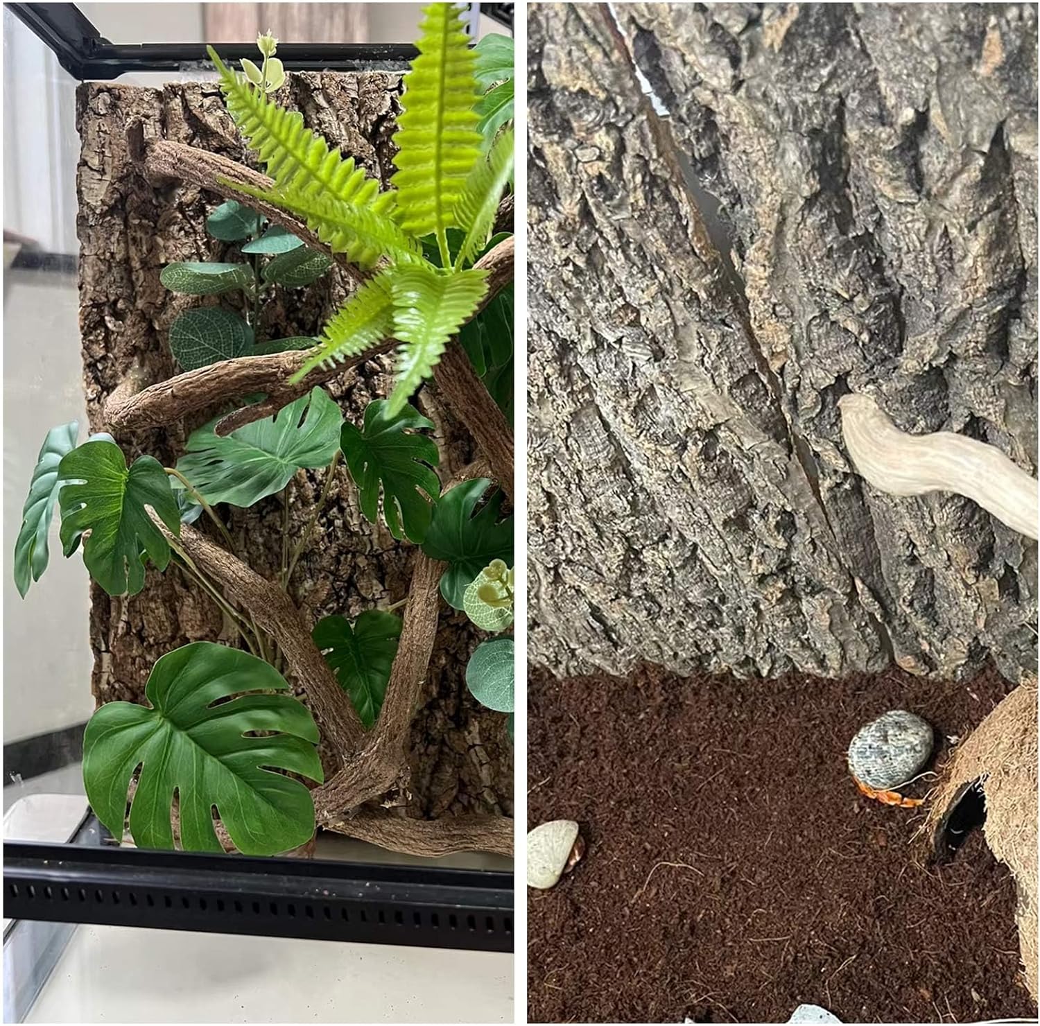 2 Pack Cork Bark Background for Reptiles Tank & Terrarium, 11.8 × 7.9 Inch Reptile & Amphibian Climbing Wall, Aquarium Decor Accessories for Turtle Bearded Dragon Chameleon Snake Lizard Hermit Crab - Pet Explorer