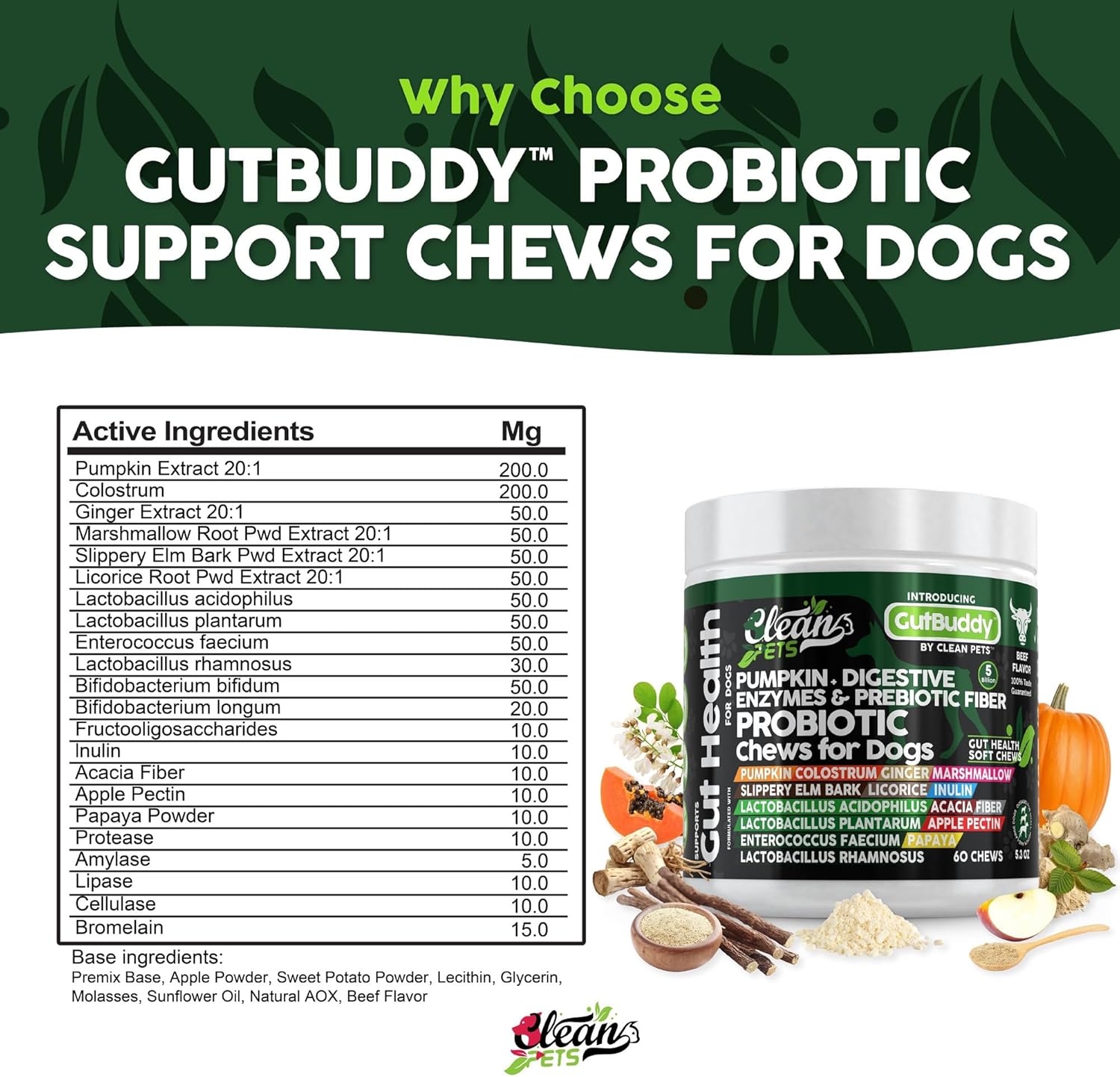 Probiotics for Dogs with Pumpkin, Colostrum, Digestive Enzymes, Ginger, Slippery Elm, Licorice, Inulin Fiber & More | Beef Flavor Soft Chews for Gut Health and Digestion Dog Supplement - Pet Explorer