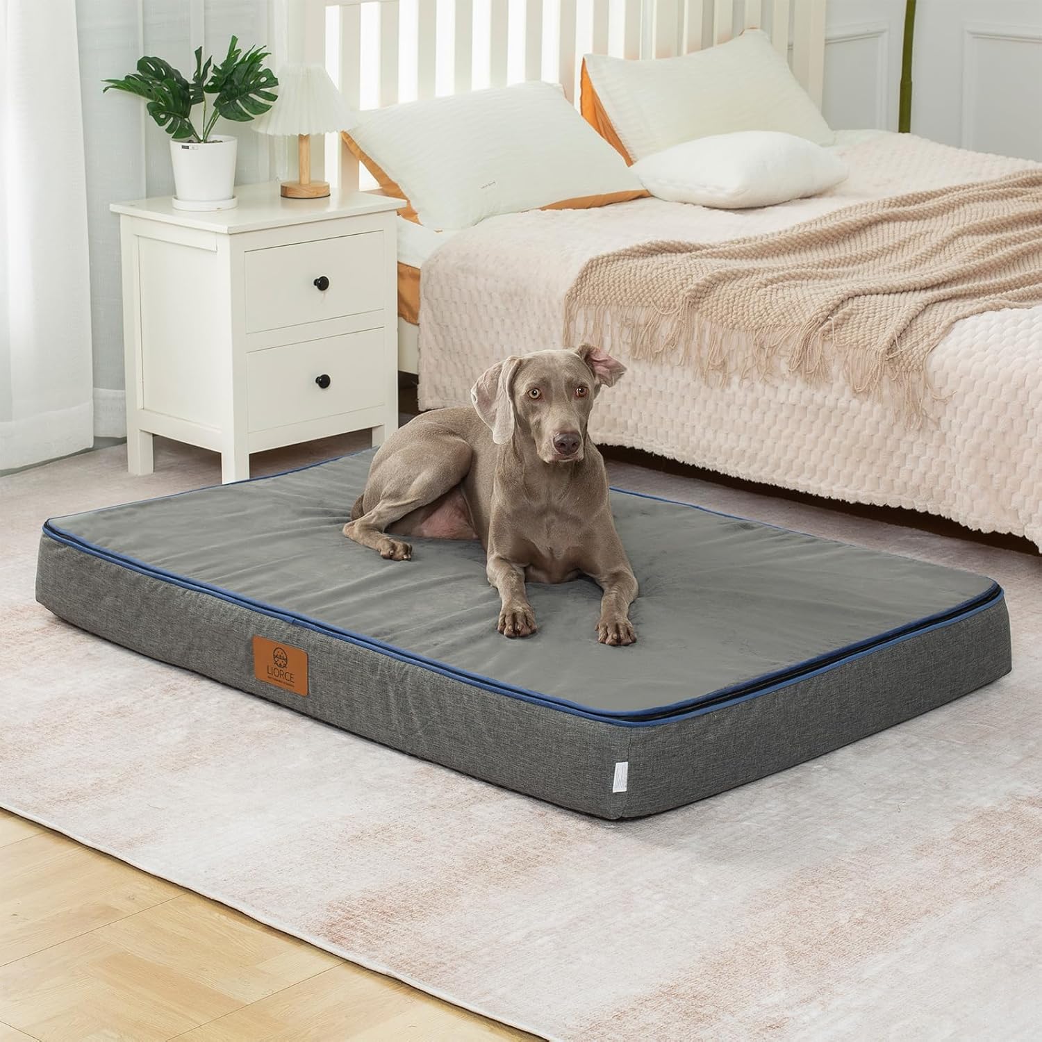 Orthopedic Memory Foam Giant Dog Bed - 6" Thick Beds for Large Sized Dog - Waterproof Removable Washable Cover & Wrap-Around Zipper - Ultimate Comfort & Easy Maintenance, Dark Grey - Pet Explorer