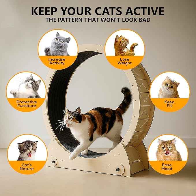Portable Cat Running Wheel for Indoor Cats 44" Large XL 12" Wide, Cat Treadmill, Wheel with Carpeted Runway for Kitty’s Longer Life, Moveable Safe & Stable Design.