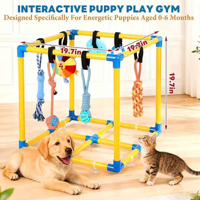 Puppy Play Gym for Small Dogs with 10 Hanging Toys, Removable Indoor Jungle Gym, PVC Frame with Adjustable Bungee Straps, Interactive Dog Toys Tug Toys for Dogs Rope Toy to Keep Them Busy