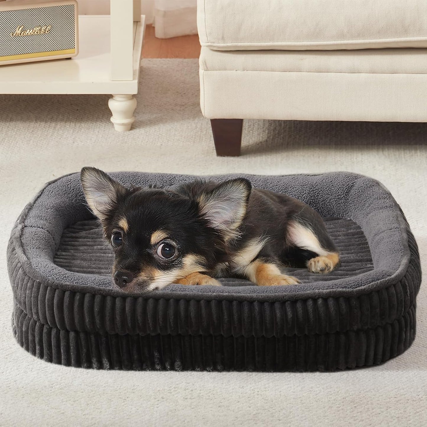 Orthopedic Dog Bed for Puppy,Extra Small Dogs Breeds,Oval Cat Bed,High Density Egg Crate Foam Dog Sofa Beds,Pet Couch Bed with Four Sided Bolster,Removable Washable Cover&Non-Slip Bottom - Pet Explorer