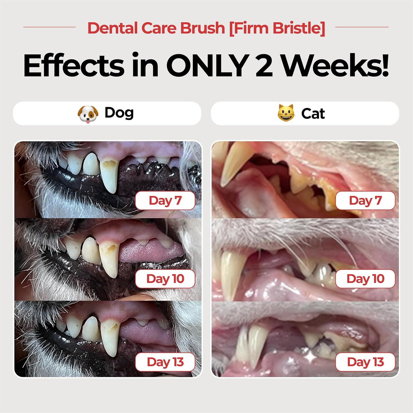 JAYU PET Dental Care Brush (Firm Bristles) 3ea - Resilient Dog Toothbrush, Cat Toothbrush for Tartar & Plaque Removal, Horizontal Head and S-Curved Body - Pet Explorer
