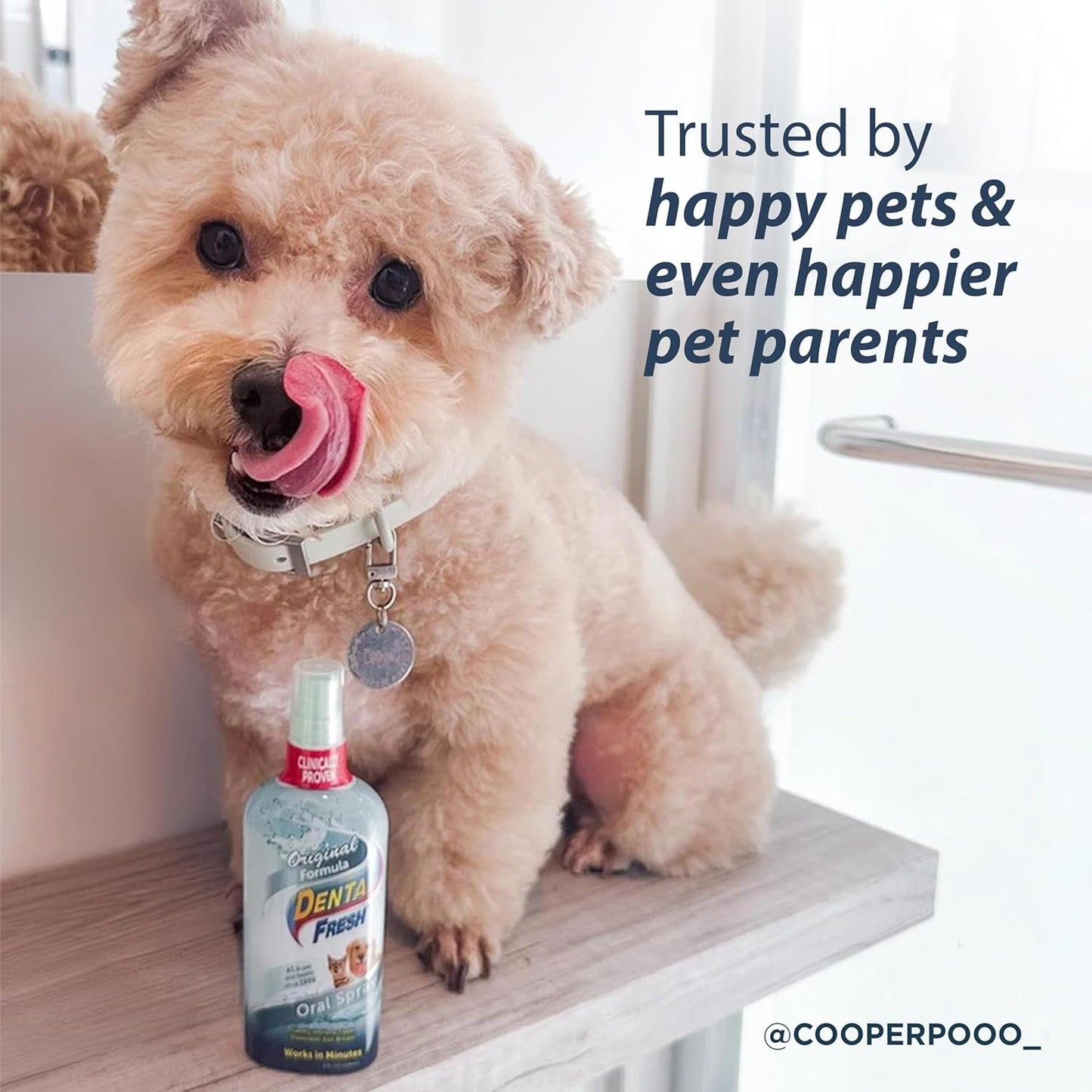 Dental Fresh Oral Spray for Dogs and Cats, Eliminates Bad Breath and Protects Their Teeth & Gums, 4 Fl Oz. - Pet Explorer